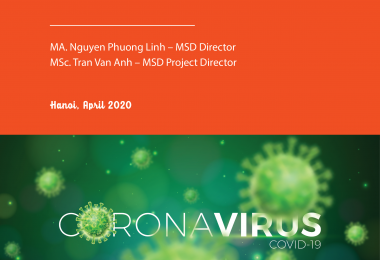 Rapid assessment on the effects of the Covid-19 pandemic on civil society organizations in Vietnam